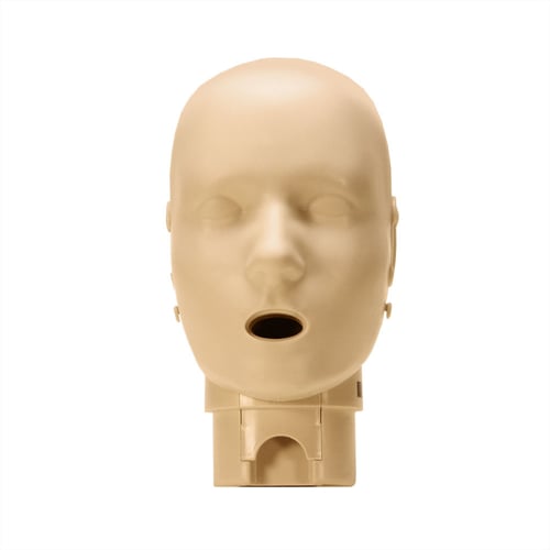 Head Assembly for the PRESTAN Professional Child Medium Skin Manikin